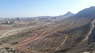 احداث بوستان خضر