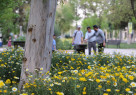 سیزده‌بدر، آزمون فرهنگ و تکریم طبیعت