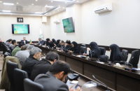 نشست خبری هفته درختکاری برگزار شد 