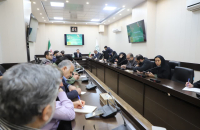نشست خبری هفته درختکاری برگزار شد 