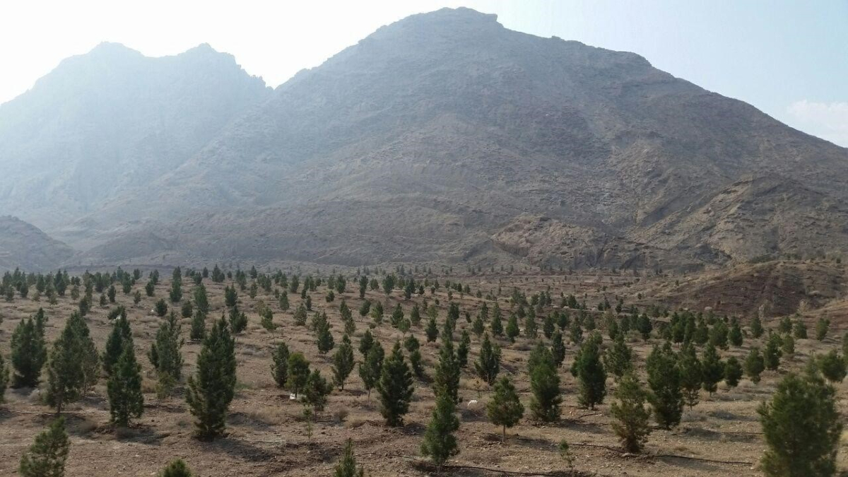 احداث بوستان فرا منطقه ای کوثر